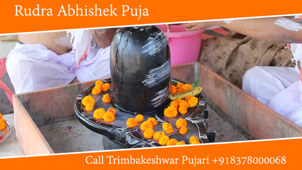 Rudra Abhishek Puja Trimbakeshwar Pandit