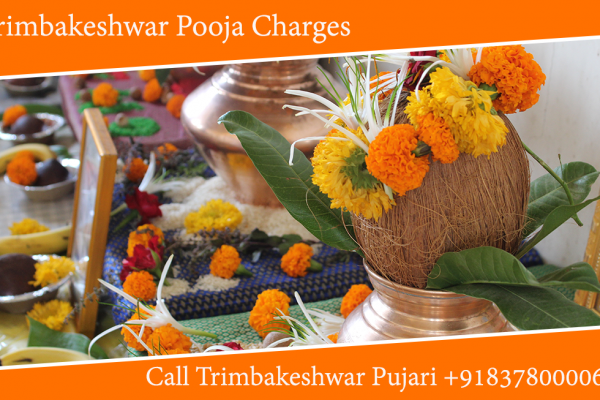 Trimbakeshwar Pooja Charges