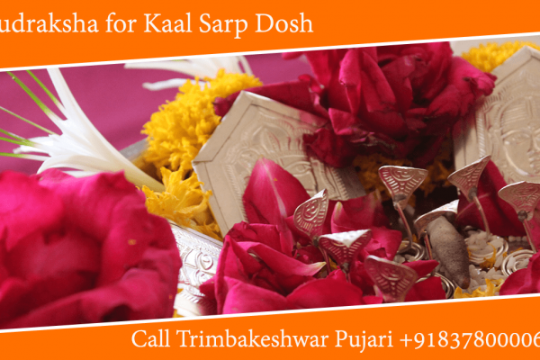 Rudraksha for Kaal Sarp Dosh, Kavach and Yantra