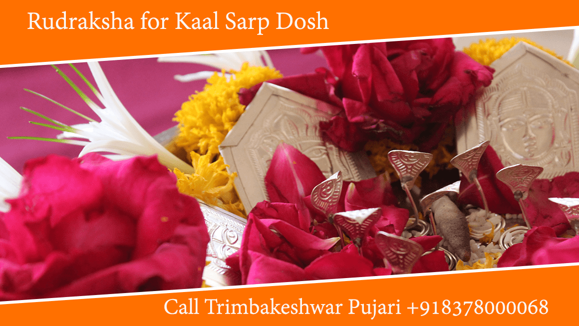 Rudraksha for Kaal Sarp Dosh, Kavach and Yantra