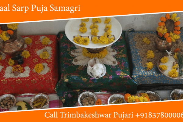 Kaal Sarp Puja Samagri