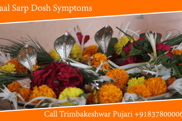 Kaal Sarp Dosh Symptoms