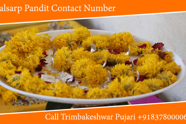 Kalsarp Pandit Contact Number