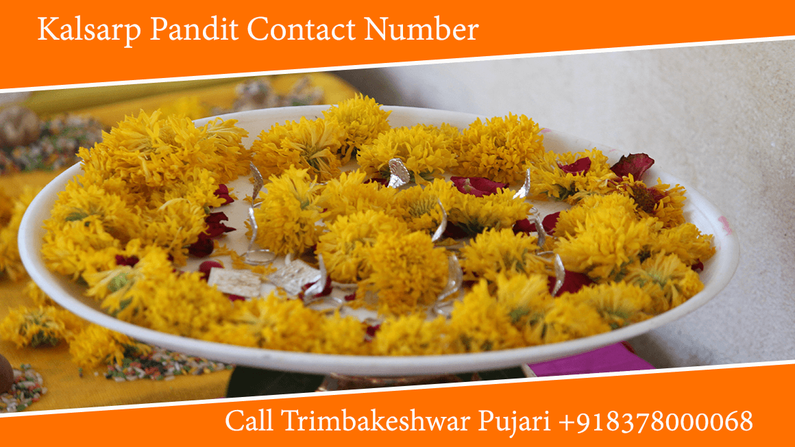 Kalsarp Pandit Contact Number