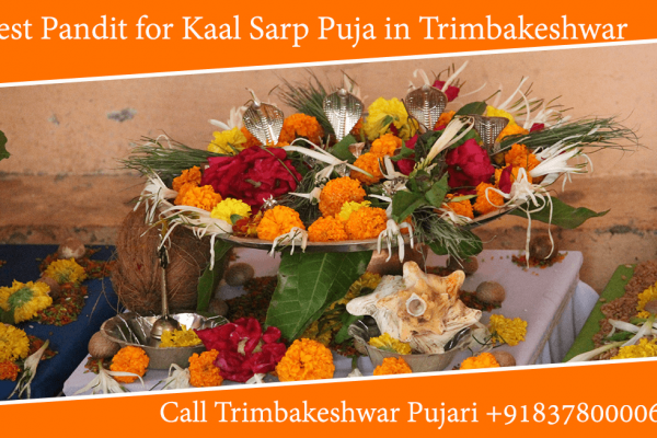 Best Pandit for Kaalsarp Puja in Trimbakeshwar