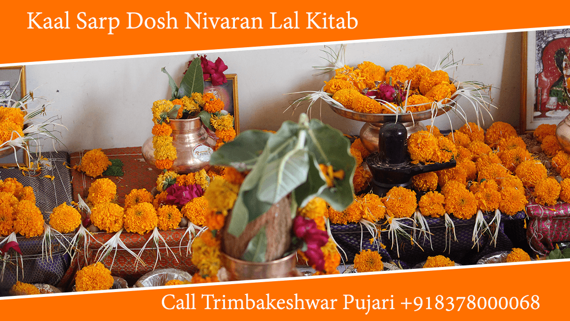 Kaalsarp Dosh Nivaran Lalkitab