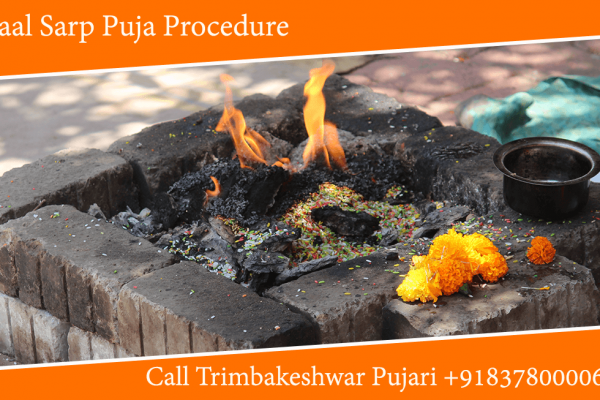 Kaal Sarp Puja Procedure