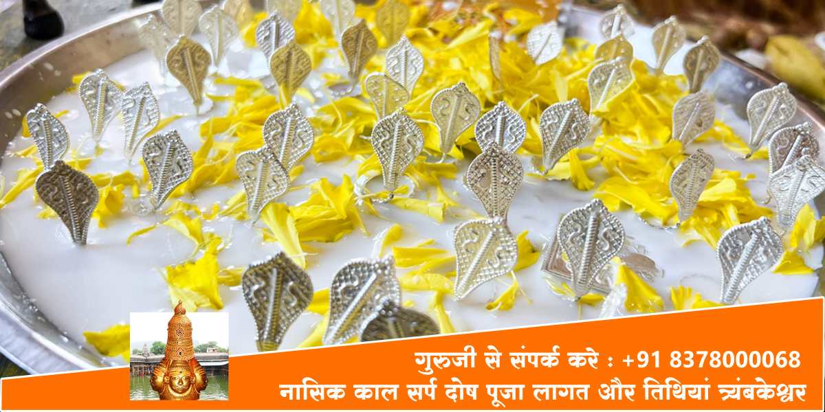 नासिक काल सर्प दोष पूजा लागत और तिथियां त्र्यंबकेश्वर