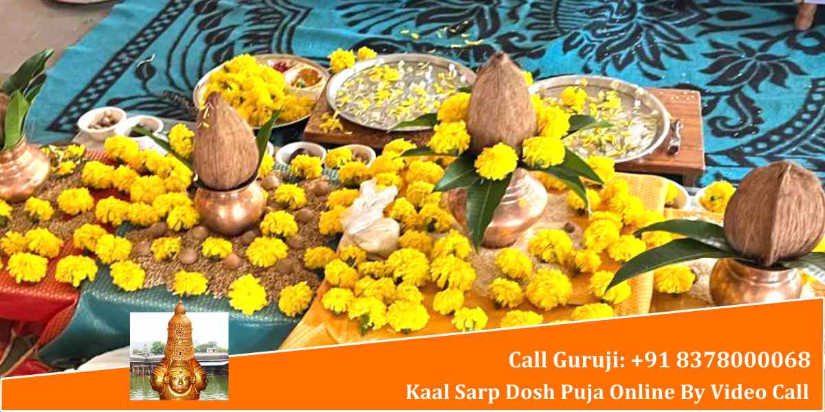 Kaal Sarp Dosh Puja Online By Video Call