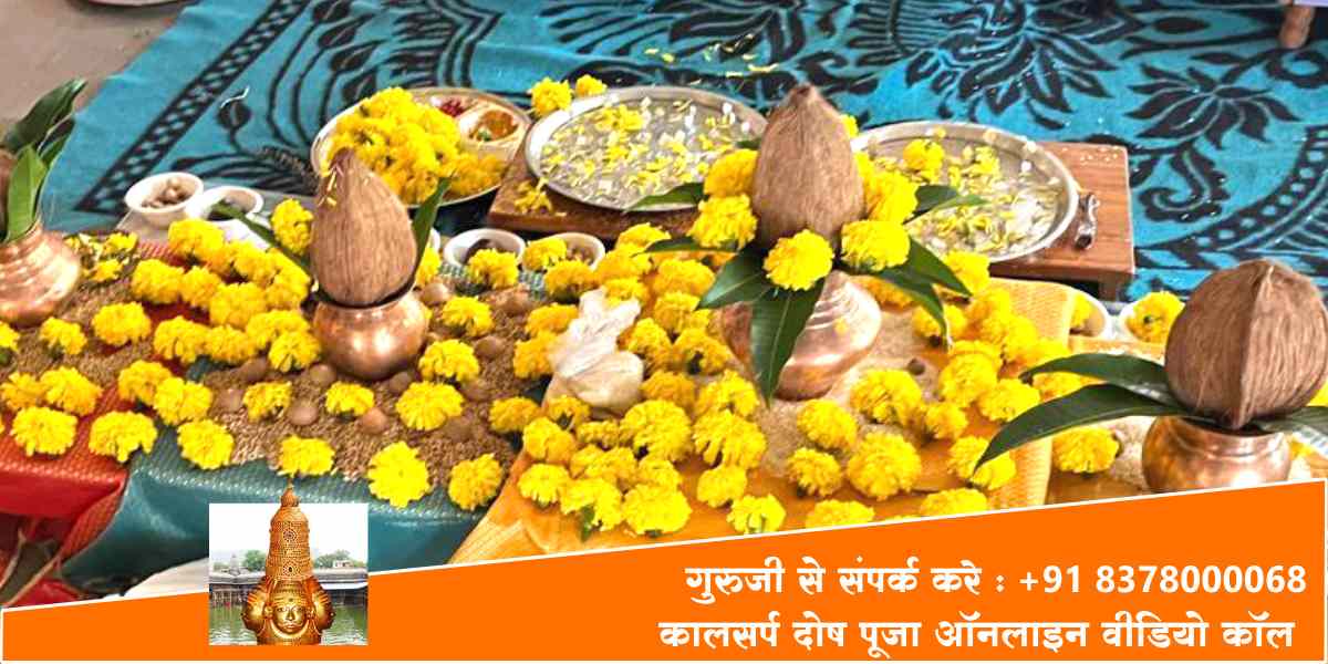 कालसर्प दोष पूजा ऑनलाइन वीडियो कॉल